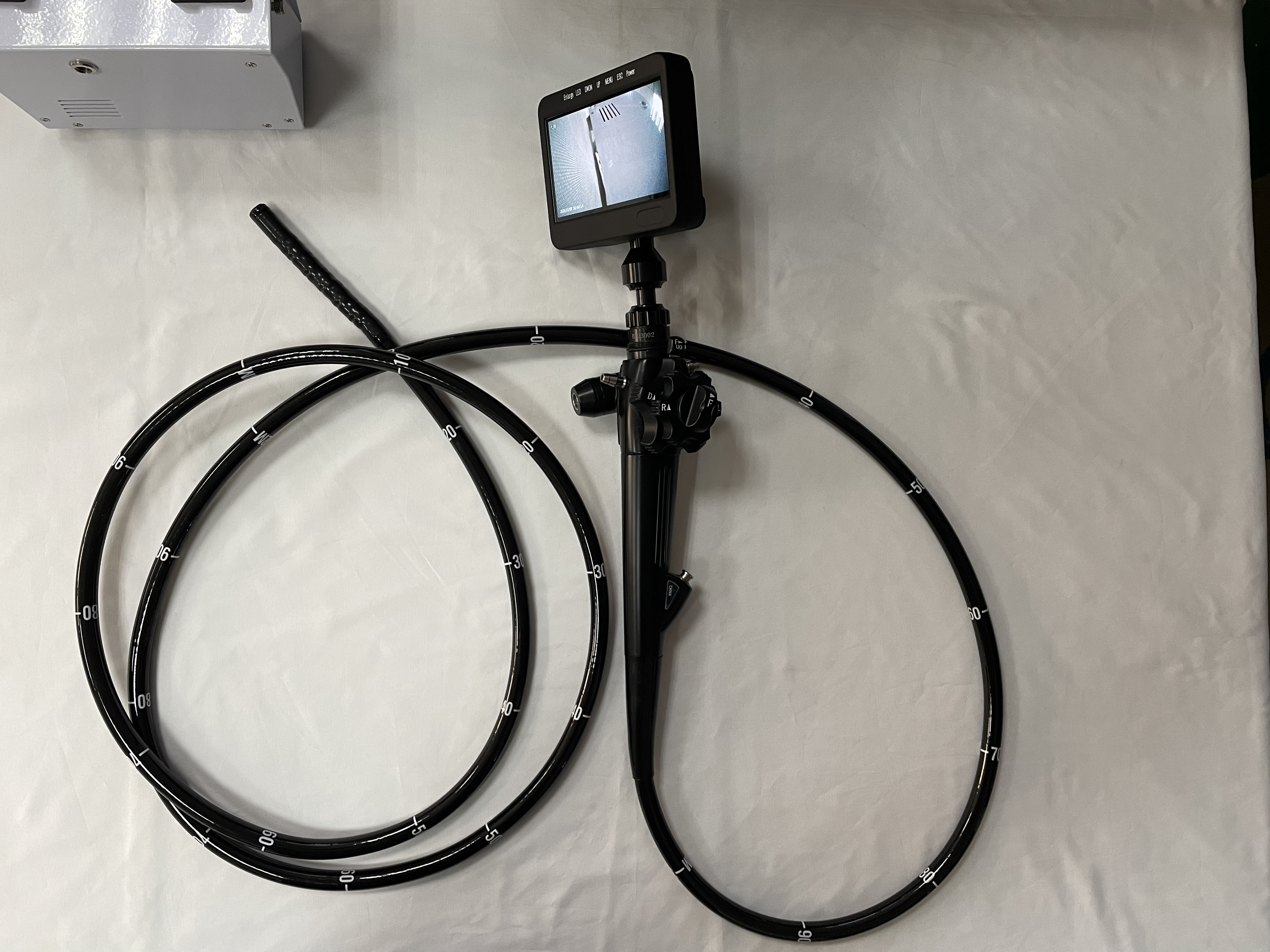 184d897d3e298ec5a1657fba9528abd