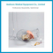 H-D1 Transparent Male Catheterization Model Manikin