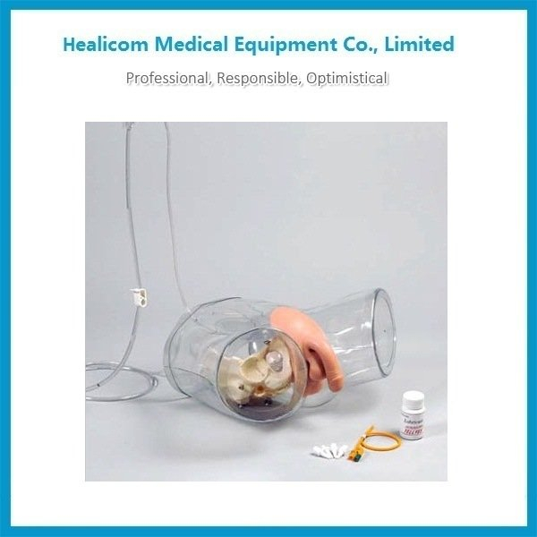 H-D1 Transparent Male Catheterization Model Manikin