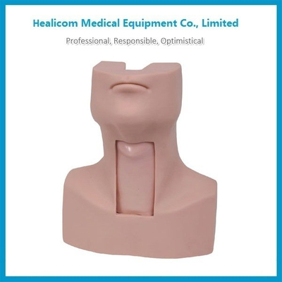 China Supplier H-58 Medical Model Trachea Intubation Training Manikin with Low Price