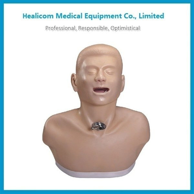 H-70 Adult Tracheotomy Care Model Manikin