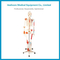 Hc-11102-1 Human Skeleton with Painted Muscle and Ligament Model 180cm