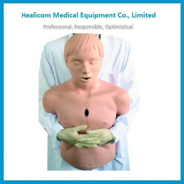H-CPR155 High Quality Medical Human Model Hospital Human Body Model