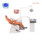Hot Sale Hdc-N8 Medical Dental Chair with Low Price