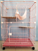 2 layers pet Cat cage veterinary cat cages