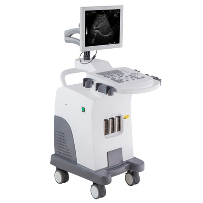 HBW-11 Plus Full Digital PC Based Trolley B/W Ultrasound Machine