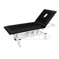 HET-02 Portable Examination Couch Physiotherapy Electric Therapy Treatment Bed 