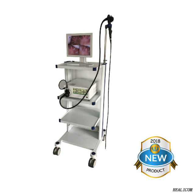 High Quality WET-9000A Medical veterinary small animal video endoscope