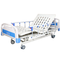 E303 Economic Nursing Care Bed Price, 3 Function Adjustable Electric Hospital Bed