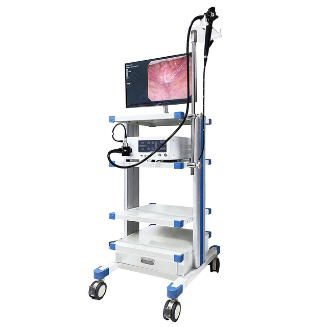 HFB-9 Medical Video Colonoscope Gastroscope HD Fiber Bronchoscope