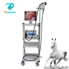 High Quality WET-6000 Medical veterinary small animal video endoscope