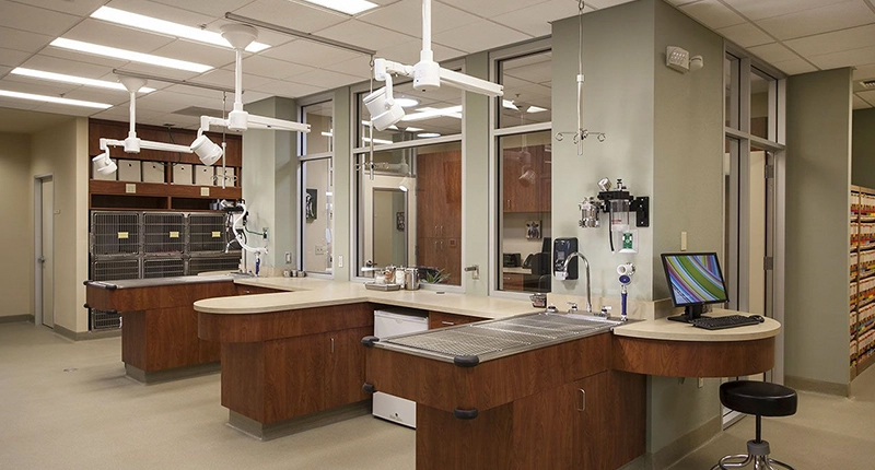 Veterinary Solution
