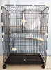 2 layers pet Cat cage veterinary cat cages