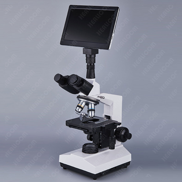 HXSZ-107TD 9-inch Lcd Screen Wide Field Binocular Biological Microscope 