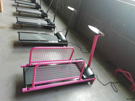 Factory price electric WT-C100 sport machine pet treadmill for sale