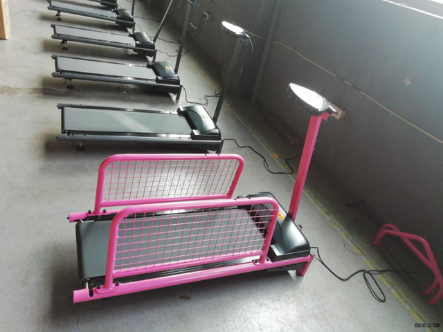 Factory price electric WT-C100 sport machine pet treadmill for sale