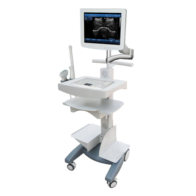 HBW-100 PC Based Touch Screen Mobile B/W Ultrasound Scanner