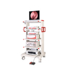 HED-2000 Medical Full HD Video Ent Surgical Endoscope Set