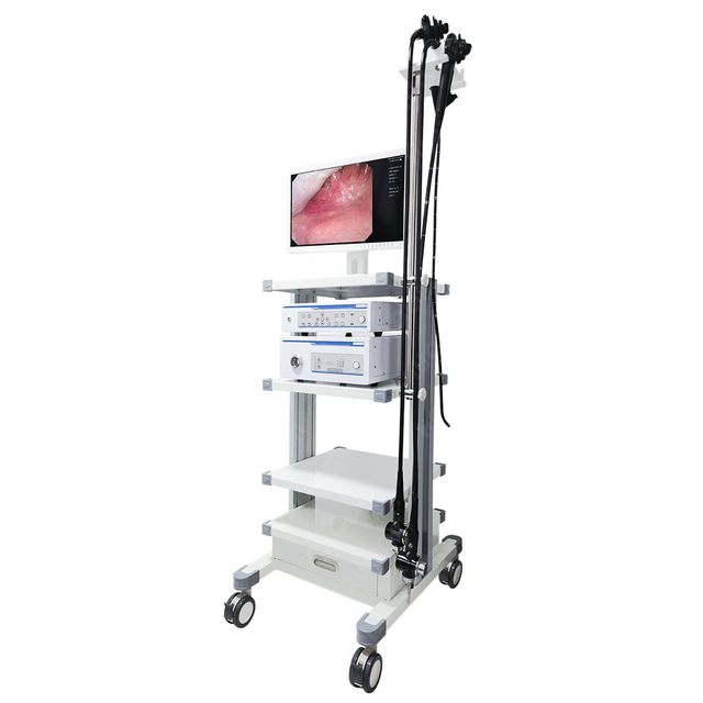 HMV-200&400 Digital Video Fiber Optic Video Endoscope Gastroscope