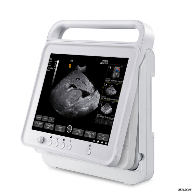 Veterinary Ultrasound Equipment HV-50C Portable Digital Touch Color Doppler Ultrasound Scanner