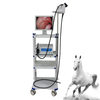 High Quality WET-6000 Medical veterinary small animal video endoscope