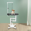 WN-209 Height adjustable pet cat dog Pneumatic grooming table