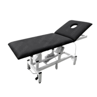 HET-03 Physiotherapy Electric Examination Bed Massage Treatment Table