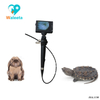 WBS-9 Veterinary Portable fiber optic ent nasopharyngoscope bronchoscope