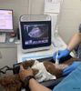 HV-50A Vet Touch B/W Portable Ultrasound Scanner diagnostic machine system