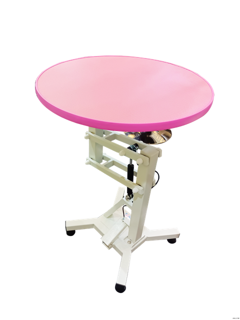 WN-209 Height adjustable pet cat dog Pneumatic grooming table