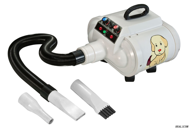 Hot Sale WET-007-1Dual Motor Variable Air Speed Portable Small Animal Pet Hair Dryer