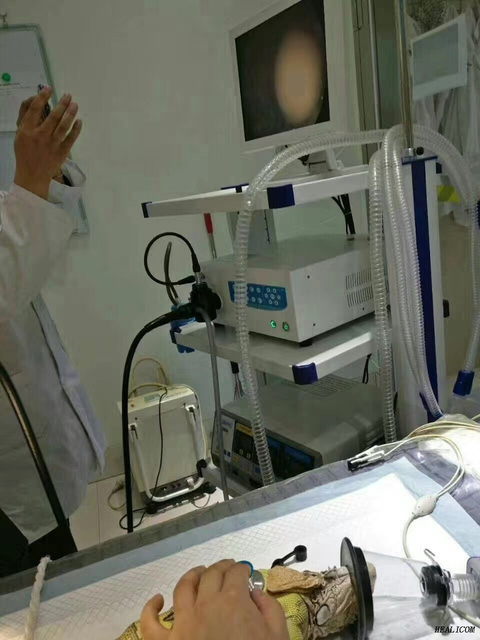 High Quality WTE-9000A 19'' LCD Monitor Video Trolley Endoscope Process&Light Source Veterinary Endoscope