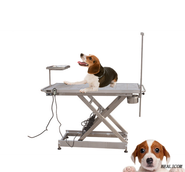 Popular WT-03 Stainless Steel Vet Use Surgical Equipment Constant Temperature Veterinary Operation Table