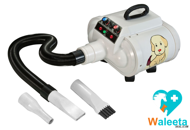 Hot Sale WET-007-1Dual Motor Variable Air Speed Portable Small Animal Pet Hair Dryer