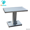 WT-21Stainless Steel Equipped Electronic Scales Multifunctional Electric Weighing Scale Pet Treatment Table