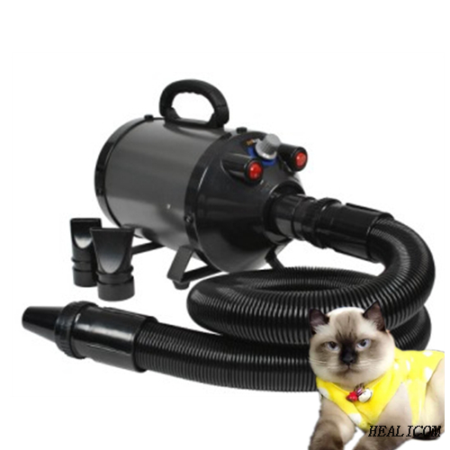 Cheap Price Pet Hair Blower WET-005 Pet Portable Grooming Hair Dryer for animal