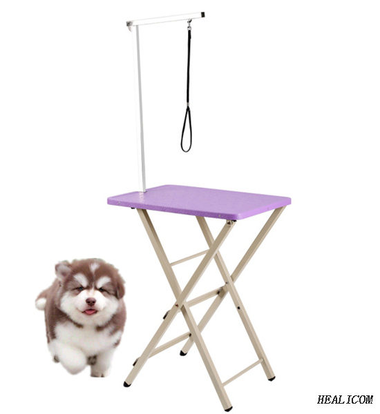 Animal Hospital Equipment WT-57 Iron Painting Stainless Steel Customize Pet Match Table