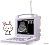 Hot sell HV-3018 Vet use Full Digital Portable B/W model Ultrasound Scanner Machine