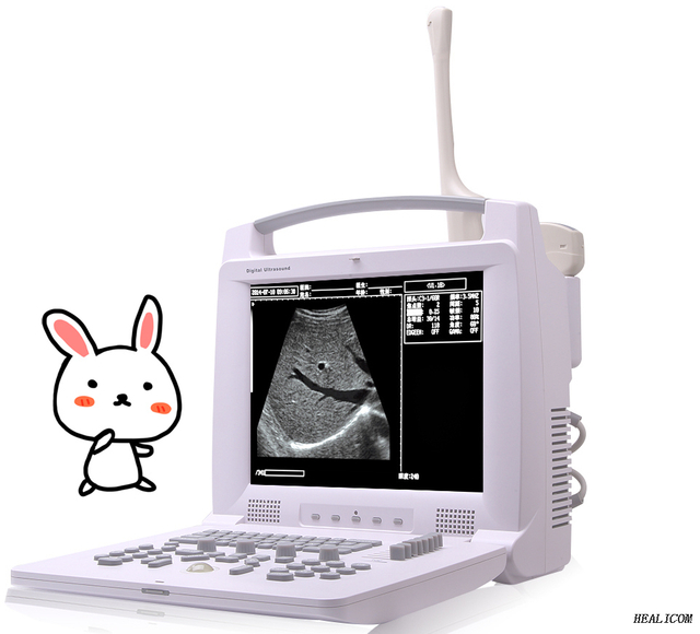 Hot sell HV-3018 Vet use Full Digital Portable B/W model Ultrasound Scanner Machine